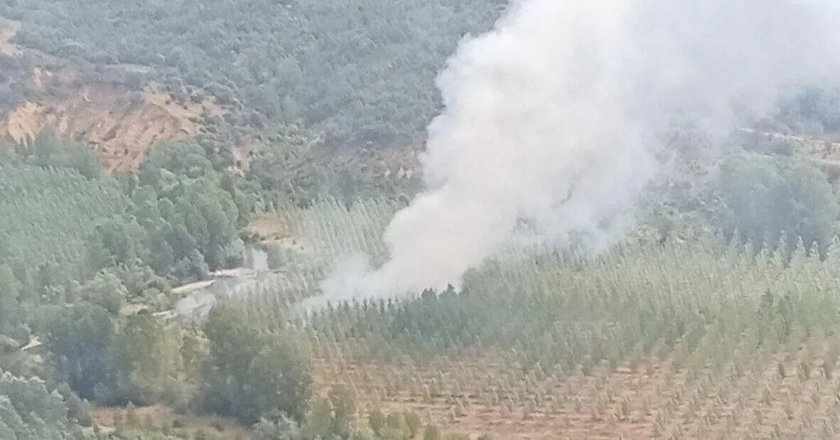 Zona del incendio