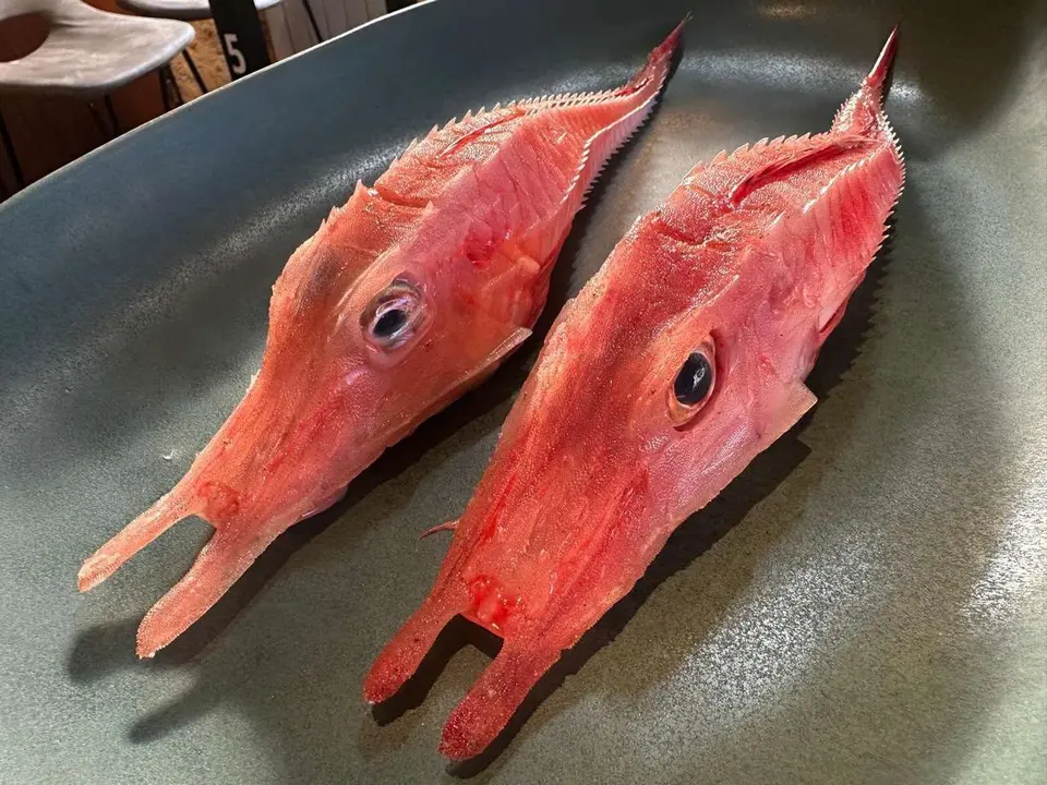 El restaurante La &Uacute;nica ha incluido esta semana en sus fueras de carta el 'malarmao', un pescado curios&iacute;simo que han tra&iacute;do del Puerto de Santa Mar&iacute;a, en C&aacute;diz. | SM