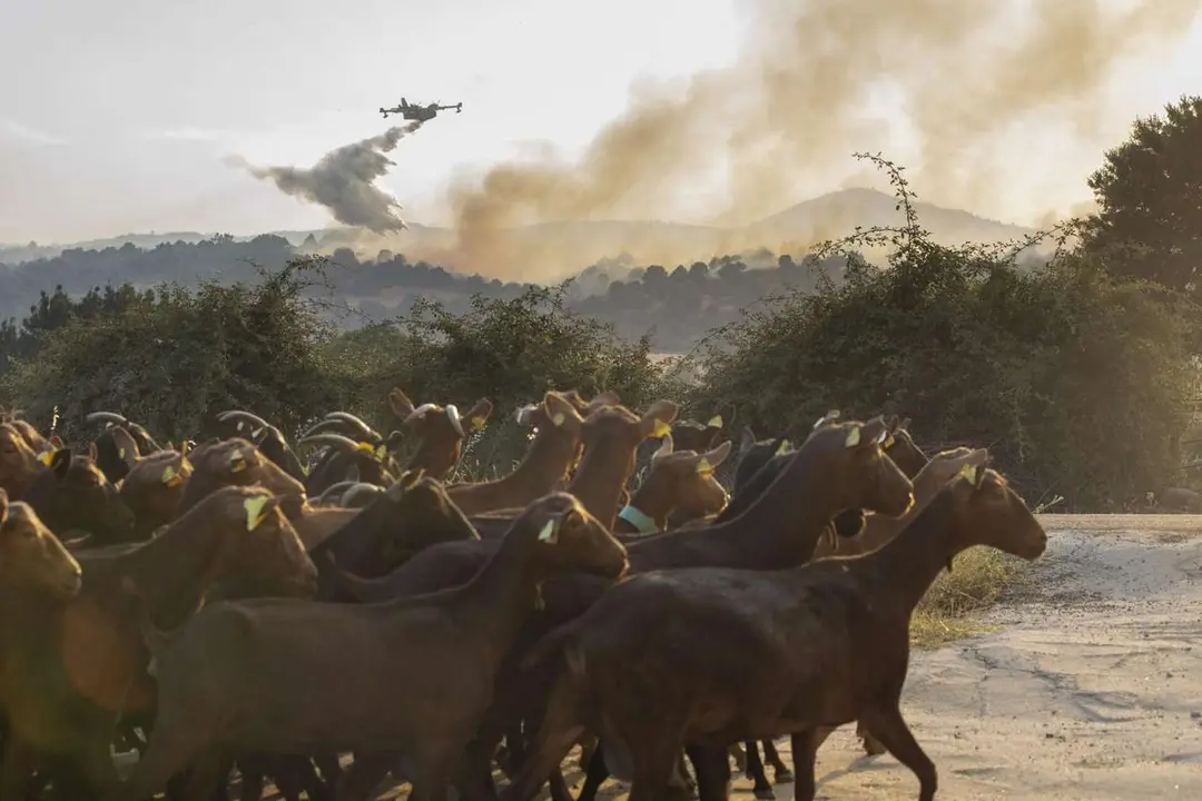 Rmestudios. ICAL. La Junta activa la situaci&oacute;n operativa dos ante la evoluci&oacute;n del incendio de Navaluenga (&Aacute;vila)
