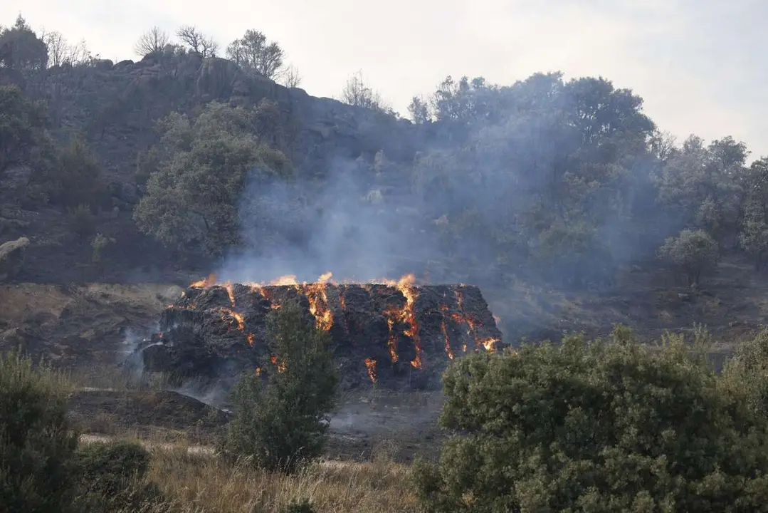 Rmestudios. ICAL. La Junta activa la situaci&oacute;n operativa dos ante la evoluci&oacute;n del incendio de Navaluenga (&Aacute;vila)