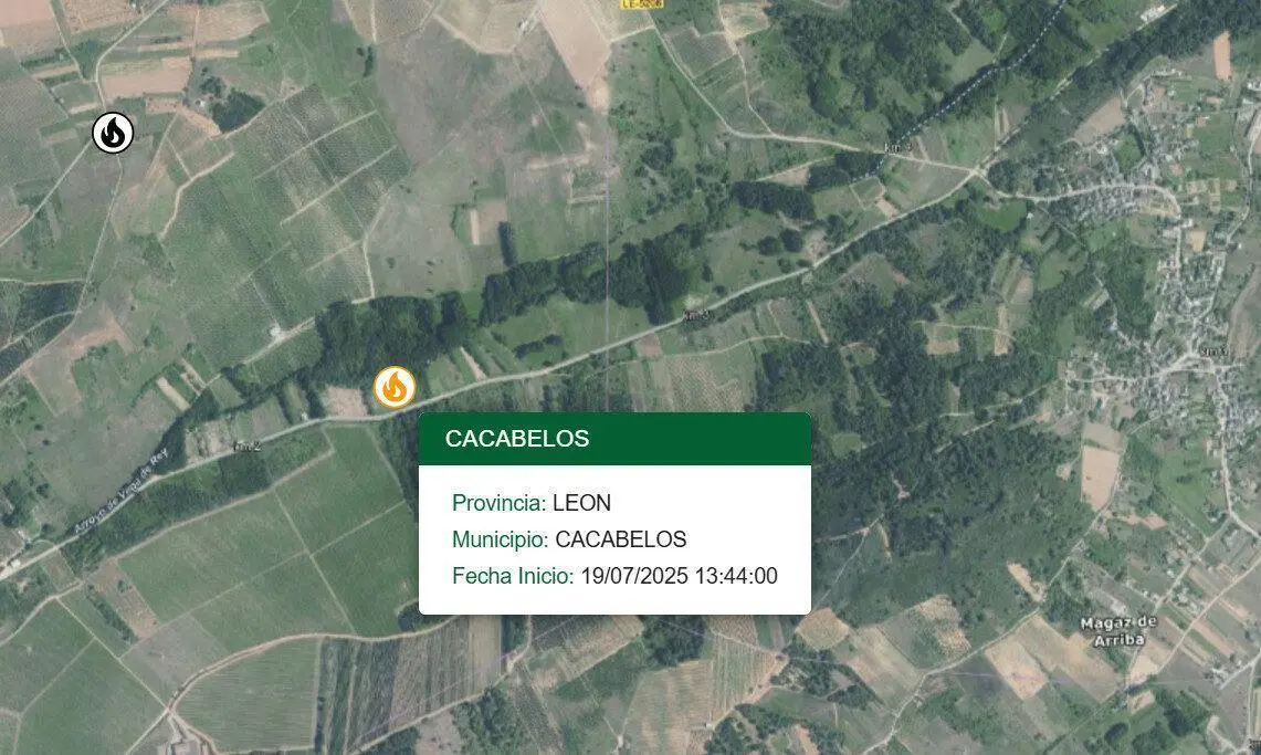 Incendio forestal en Cacabelos, cercano al que se desat&oacute; ayer 