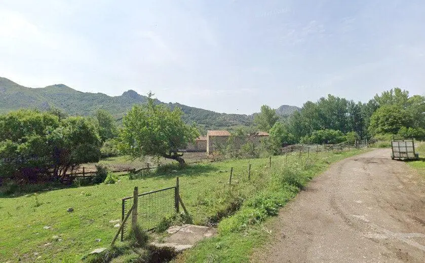 Camposolillo