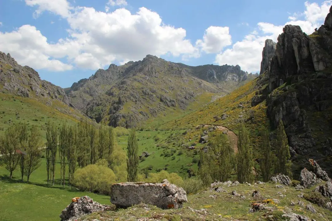 La Reserva de la Biosfera Alto Bernesga.