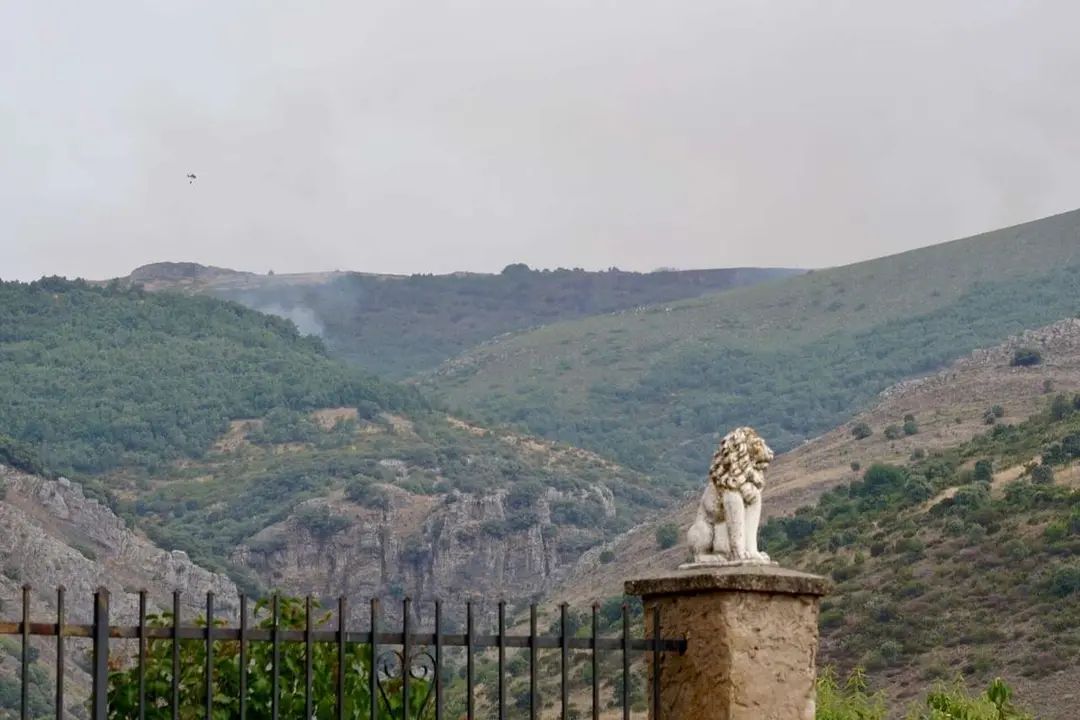 Incendio de nivel 1 en Olleros de Alba. | ICAL 