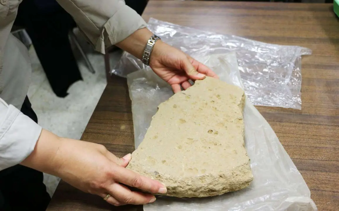 Restos hallados en el Castro de los Jud&iacute;os que ser&aacute;n analizados en los laboratorios de la Universidad de Le&oacute;n