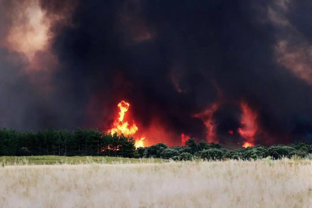 Peio Garc&iacute;a. ICAL. La poblaci&oacute;n de Herreros de Jamuz, evacuada ante el avance de las llamas