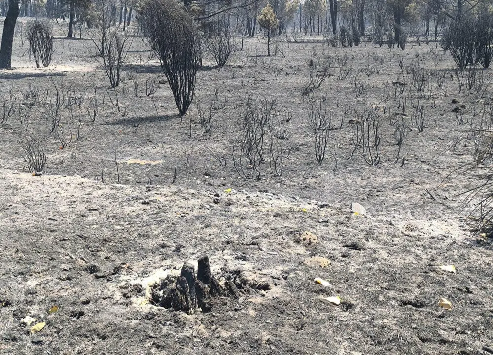 Le&oacute;n24horas