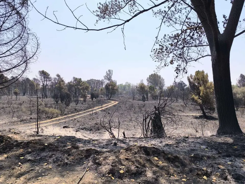 En el incendio de Nogarejas, que se propag&oacute; desde Zamora a Le&oacute;n, dos leoneses perdieron la vida. | Le&oacute;n24horas