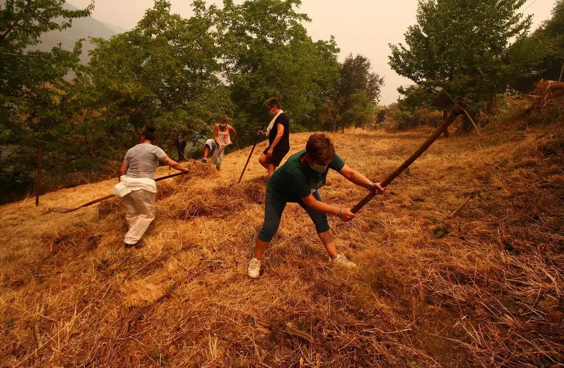 C&eacute;sar Hornija. ICAL. Vecinos de Lusio (Le&oacute;n), realizan desbroces alrededor del pueblo ante la posible llegada del incendio