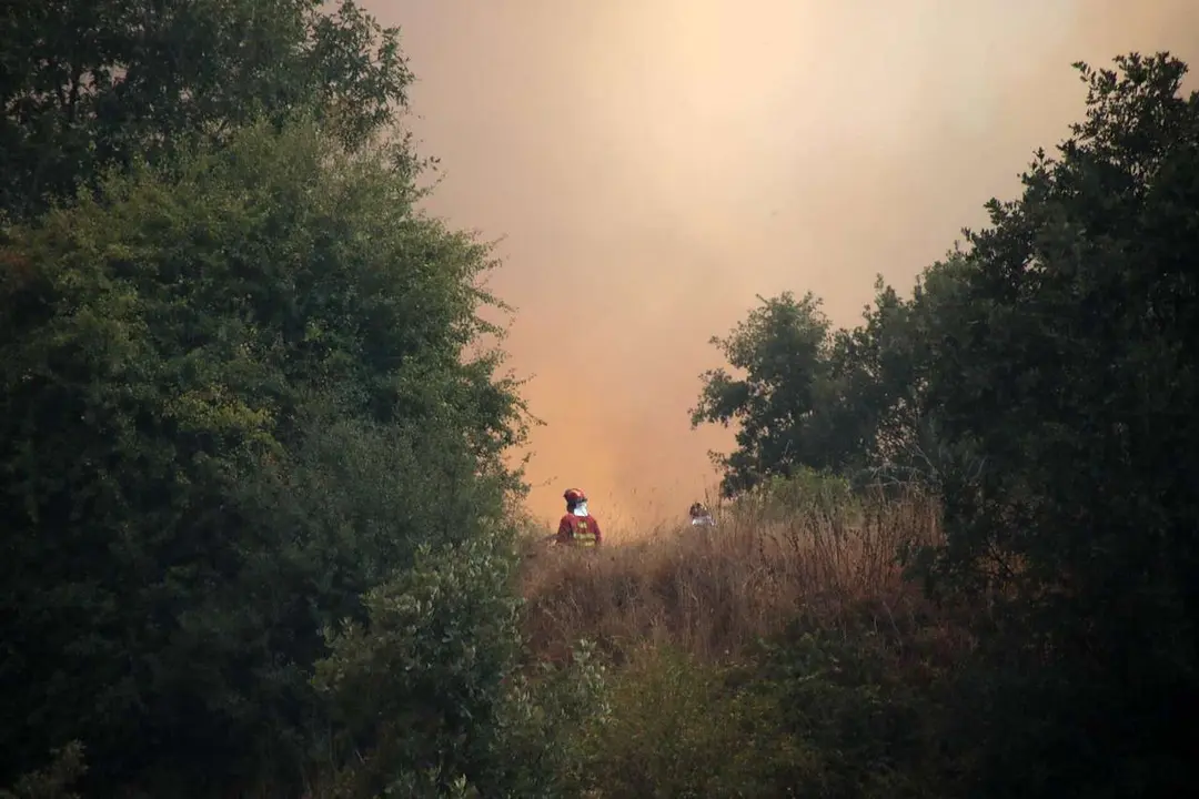 Peio Garc&iacute;a. ICAL. El incendio de Almanza amenaza varias pedan&iacute;as