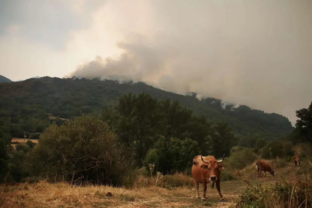 Peio Garc&iacute;a. ICAL. El incendio de Fasgar amenaza a las poblaciones de Villapuj&iacute;n, Barrio de la Puente y Posada de Oma&ntilde;a