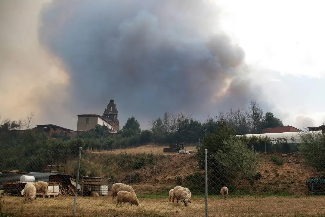 Foto de archivo: El incendio de Almanza 
