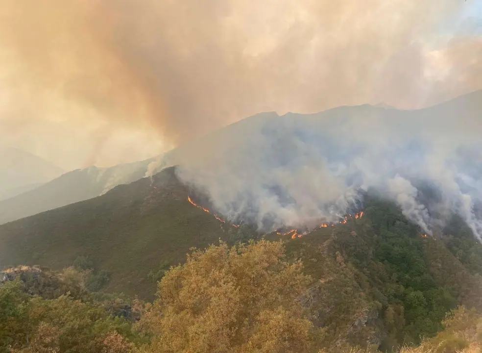 C&eacute;sar Hornija. ICAL. Incendio en el municipio de Oencia (Le&oacute;n)