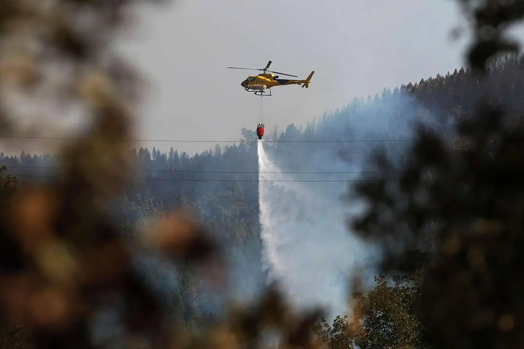 Peio Garc&iacute;a. ICAL. Incendio en Gara&ntilde;o (Le&oacute;n)