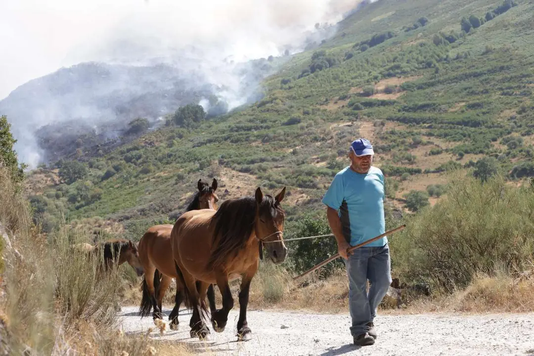 JL Leal. ICAL. Incendio en Porto de Sanabria