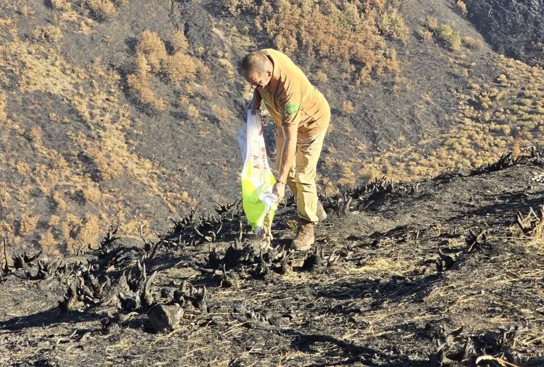 Imagen de archivo de celadores de Medio Ambiente en la Reserva Regional de Caza de Ria&ntilde;o depositan alimento para la fauna silvestre en terrenos incendiados. | ICAL
