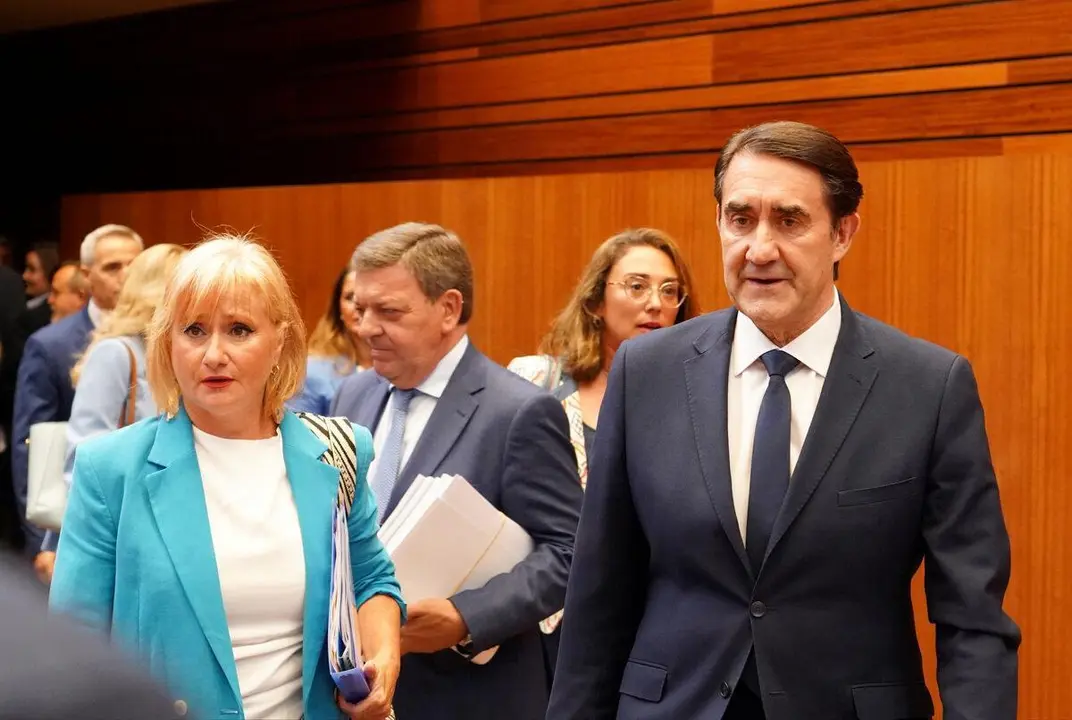 El consejero leon&eacute;s Su&aacute;rez-Qui&ntilde;ones, en el pleno de las Cortes de Castilla y Le&oacute;n. | ICAL