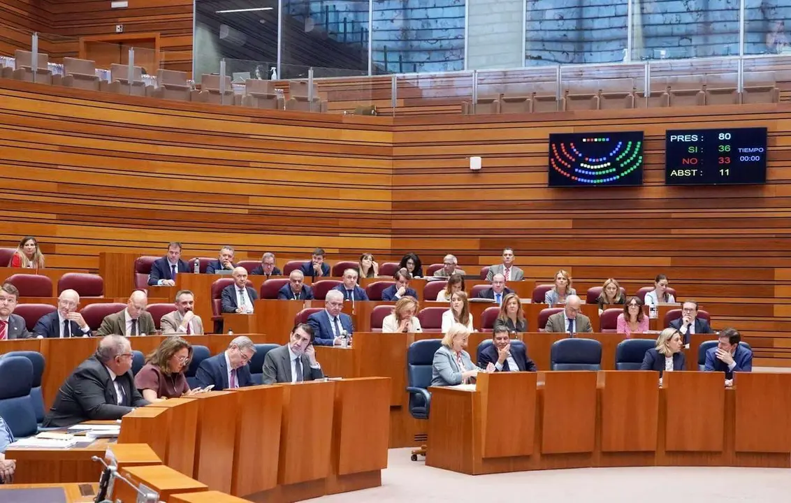 Segunda jornada de la primera sesi&oacute;n plenaria del curso en las Cortes de Castilla y Le&oacute;n. ICAL. 