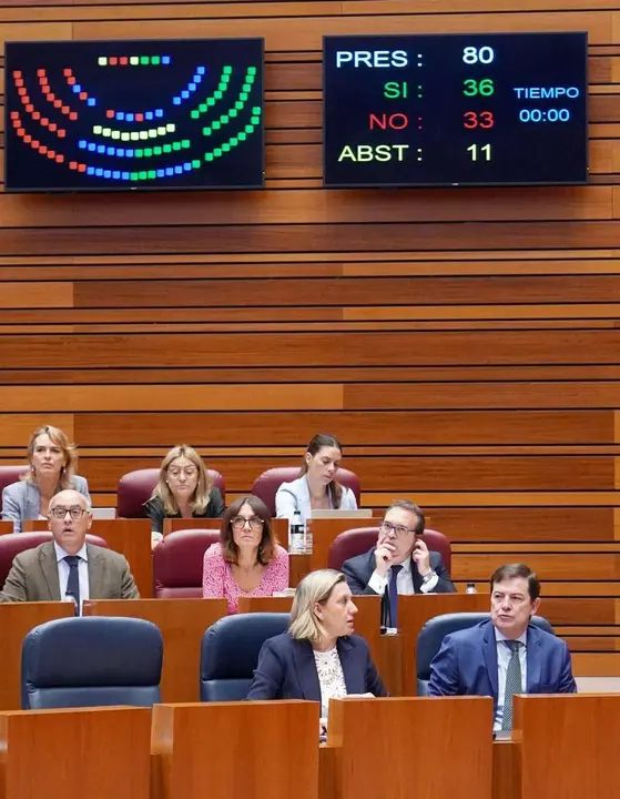 Segunda jornada de la primera sesi&oacute;n plenaria del curso en las Cortes de Castilla y Le&oacute;n. ICAL. 