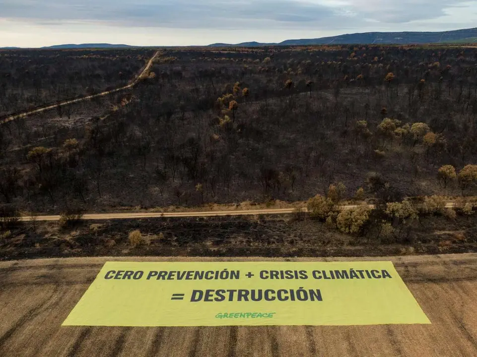 Greenpeace despleg&oacute; una pancarta gigante en Palacios de Jamuz. Pablo Blazquez / Greenpeace