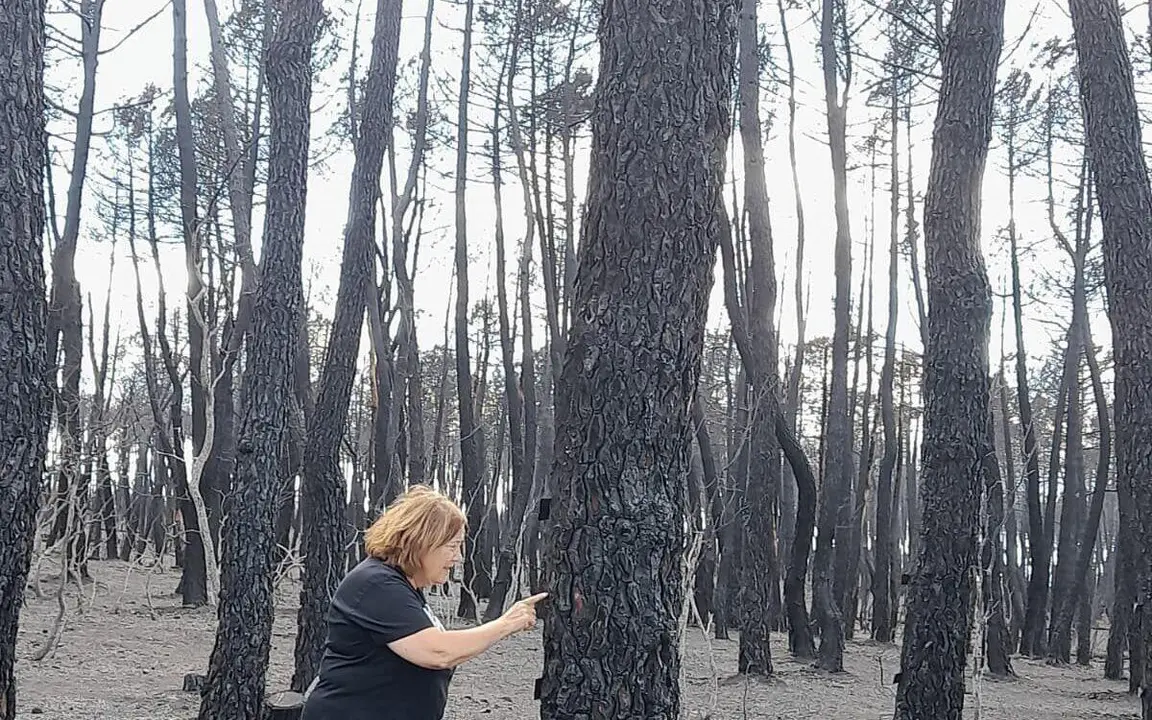 La catedr&aacute;tica de Ecolog&iacute;a de la ULE Elena Marcos en la zona quemada por el incendio de Castrocalb&oacute;n.&nbsp;| ULE