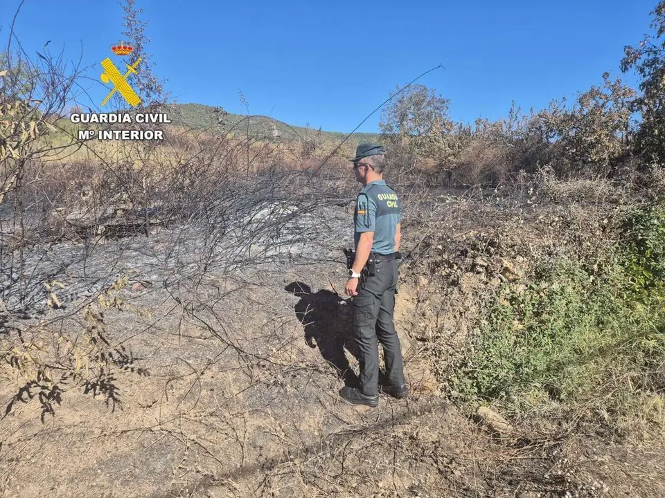 El incendio de San Juan de Paluezas, en Borrenes, se produjo el pasado s&aacute;bado en cuatro puntos diferentes, seg&uacute;n la Guardia Civil.