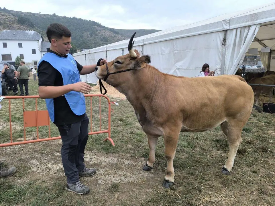 Le&oacute;n24horas