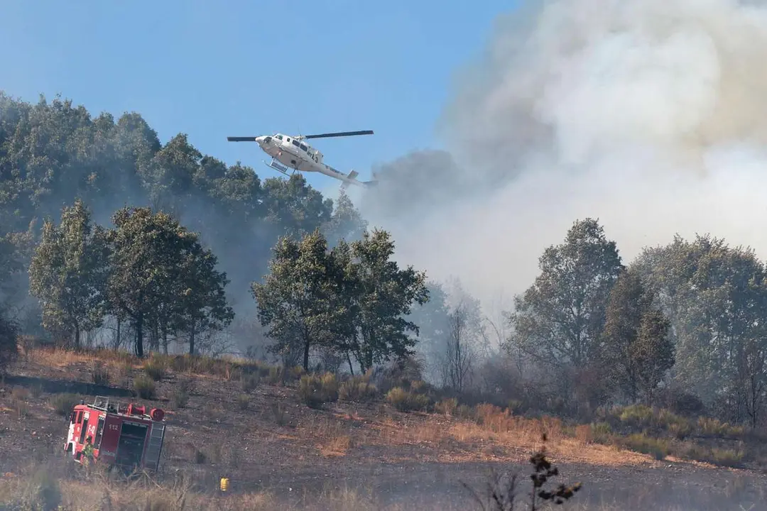 Una veintena de medios trabajan para intentar sofocar el incendio declarado en las cercan&iacute;as de Villasinta de Tor&iacute;o, en el municipio de Villaquilambre (Le&oacute;n). Ical
