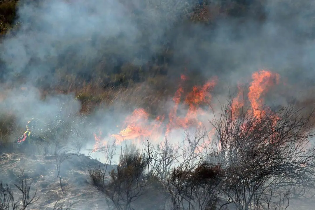 Una veintena de medios trabajan para intentar sofocar el incendio declarado en las cercan&iacute;as de Villasinta de Tor&iacute;o, en el municipio de Villaquilambre (Le&oacute;n). Ical