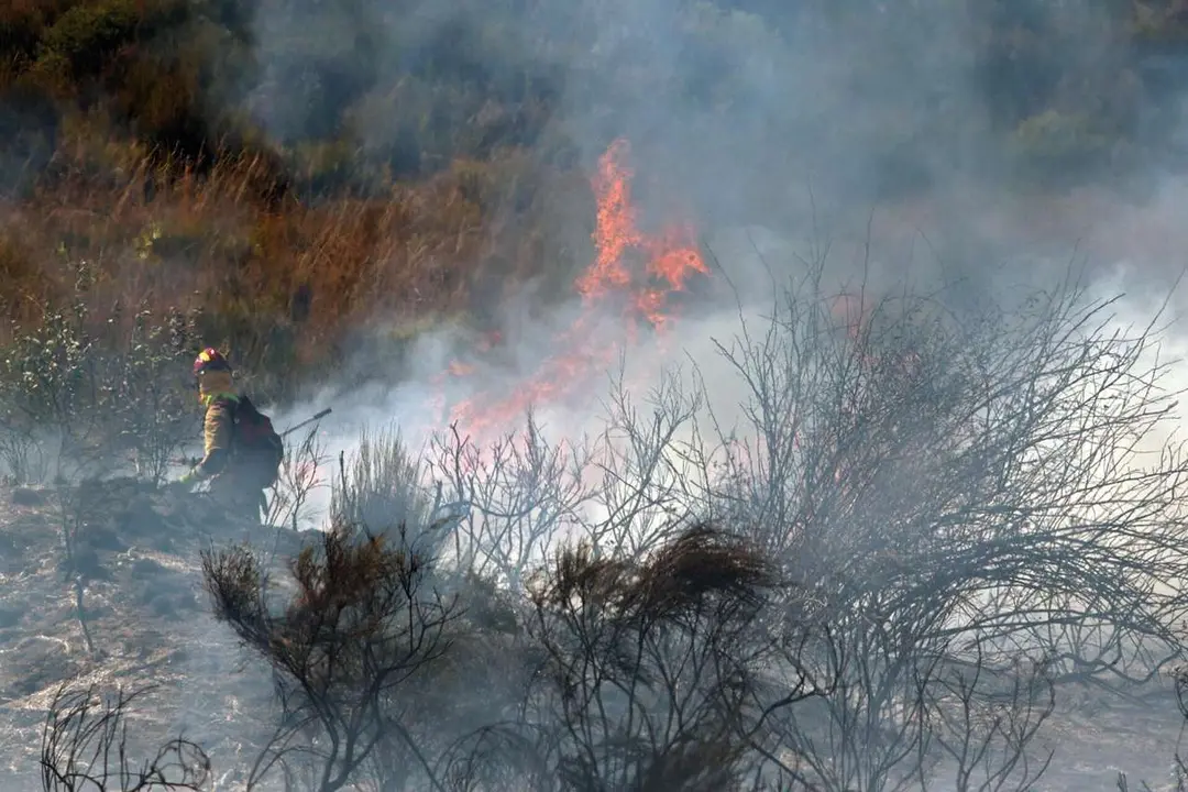 Una veintena de medios trabajan para intentar sofocar el incendio declarado en las cercan&iacute;as de Villasinta de Tor&iacute;o, en el municipio de Villaquilambre (Le&oacute;n). Ical