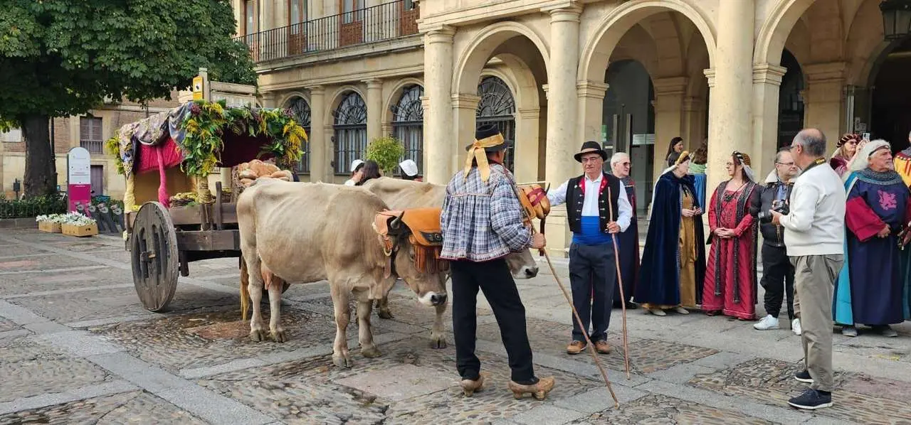 Im&aacute;genes de la jornada festiva de San Froil&aacute;n 2025 en Le&oacute;n. Le&oacute;n 24 Horas.