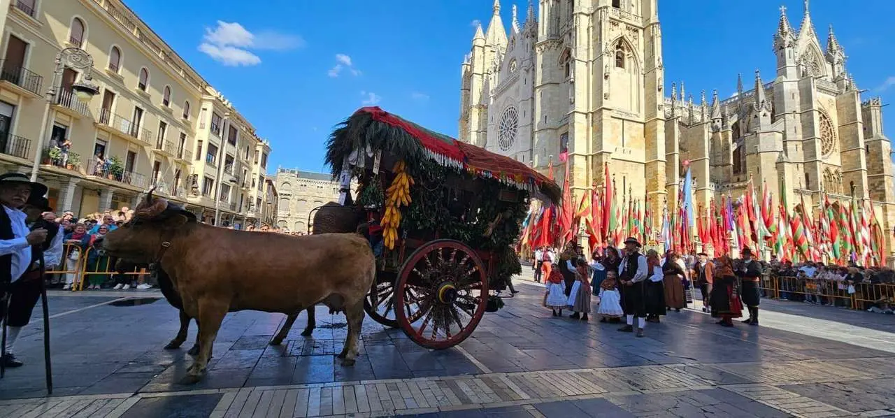 Im&aacute;genes de los carros engalanados durante la jornada festiva de San Froil&aacute;n 2025 en Le&oacute;n. / Le&oacute;n 24 Horas