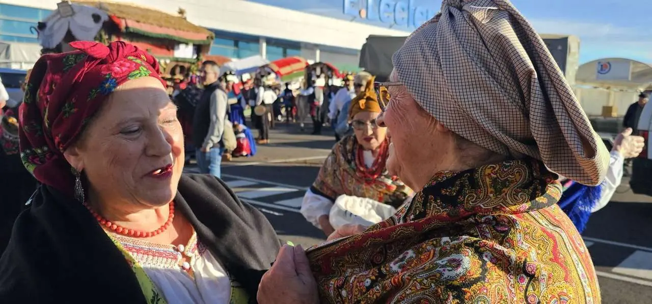 Pendones, carros y romeros participaron un a&ntilde;o m&aacute;s en la romer&iacute;a de San Froil&aacute;n | Le&oacute;n 24 Horas