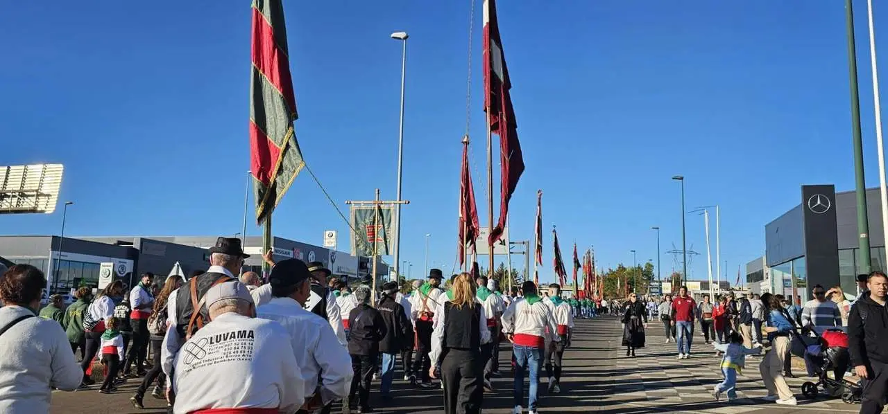 Pendones, carros y romeros participaron un a&ntilde;o m&aacute;s en la romer&iacute;a de San Froil&aacute;n | Le&oacute;n 24 Horas