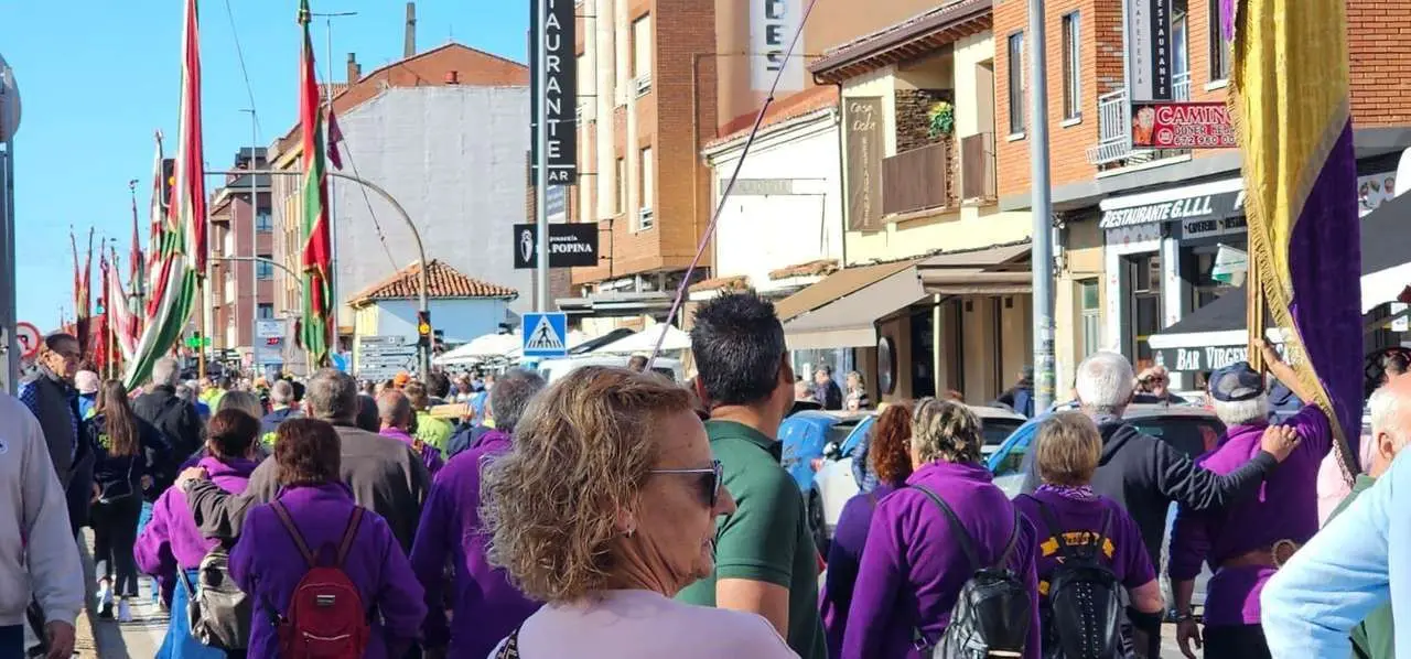 Pendones, carros y romeros participaron un a&ntilde;o m&aacute;s en la romer&iacute;a de San Froil&aacute;n | Le&oacute;n 24 Horas