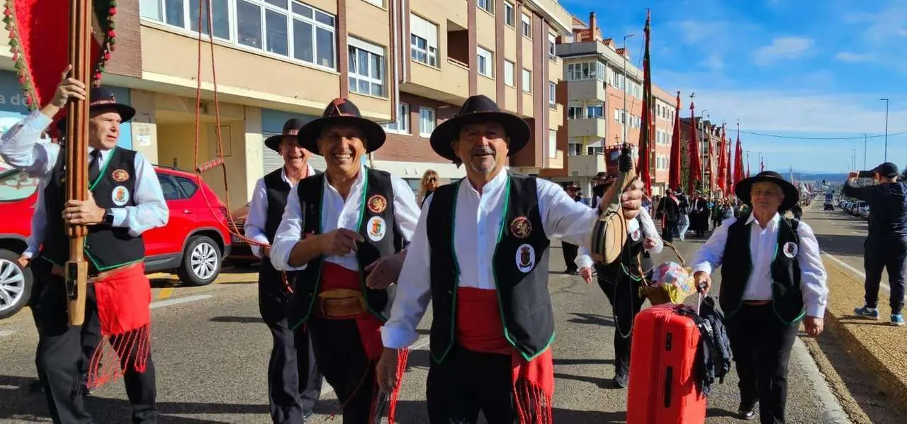 Pendones, carros y romeros participaron un a&ntilde;o m&aacute;s en la romer&iacute;a de San Froil&aacute;n | Le&oacute;n 24 Horas
