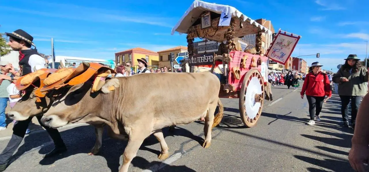 Carros, pendones y emoci&oacute;n en la gran Romer&iacute;a de San Froil&aacute;n 2025