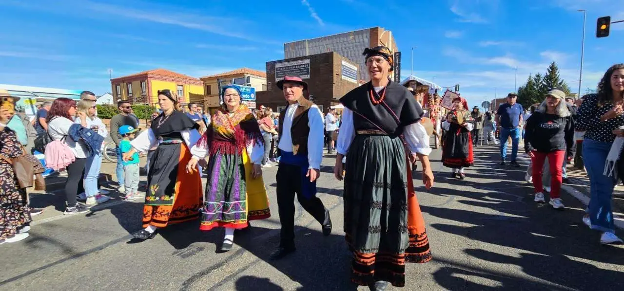 Carros, pendones y emoci&oacute;n en la gran Romer&iacute;a de San Froil&aacute;n 2025