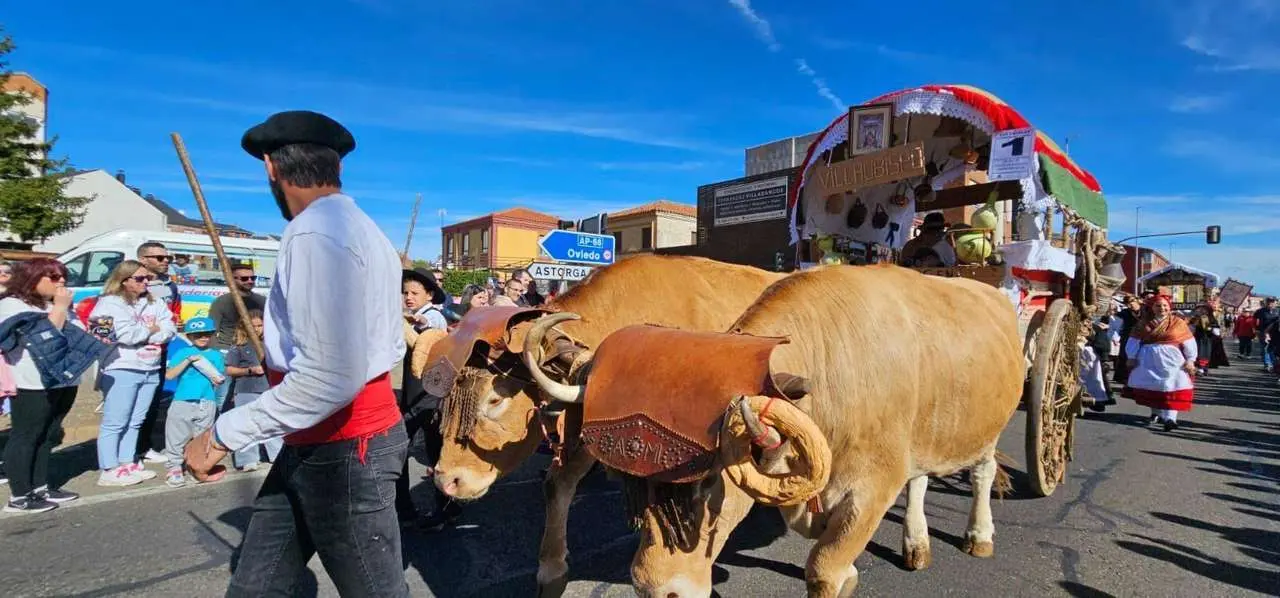 Carros, pendones y emoci&oacute;n en la gran Romer&iacute;a de San Froil&aacute;n 2025