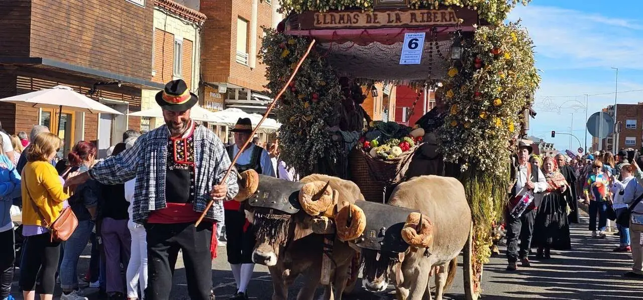 Pendones, carros y romeros participaron un a&ntilde;o m&aacute;s en la romer&iacute;a de San Froil&aacute;n | Le&oacute;n 24 Horas