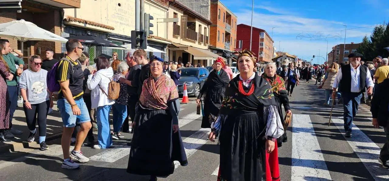 Pendones, carros y romeros participaron un a&ntilde;o m&aacute;s en la romer&iacute;a de San Froil&aacute;n | Le&oacute;n 24 Horas