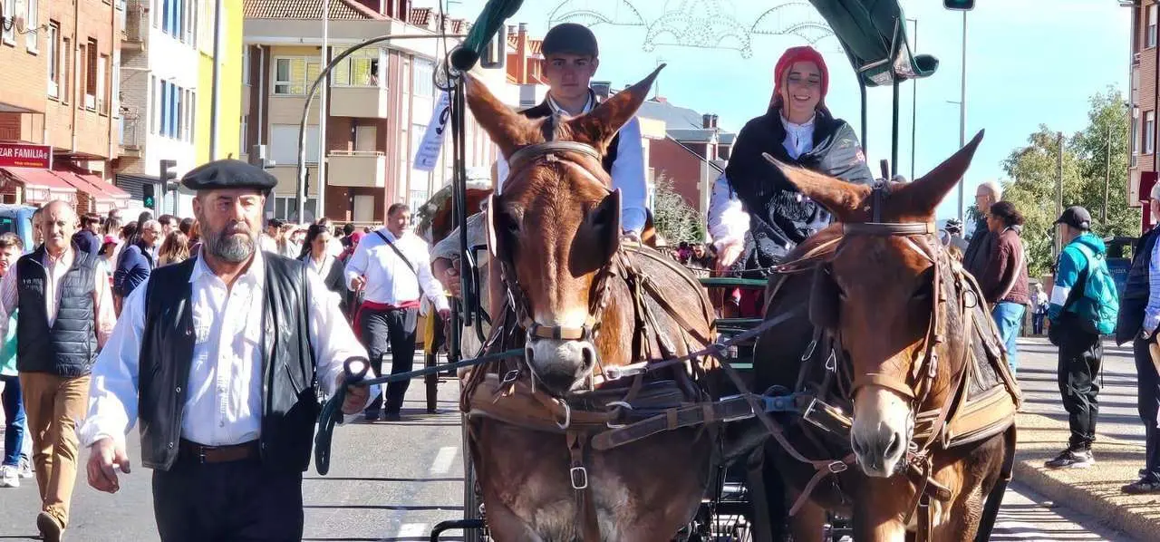 Pendones, carros y romeros participaron un a&ntilde;o m&aacute;s en la romer&iacute;a de San Froil&aacute;n | Le&oacute;n 24 Horas