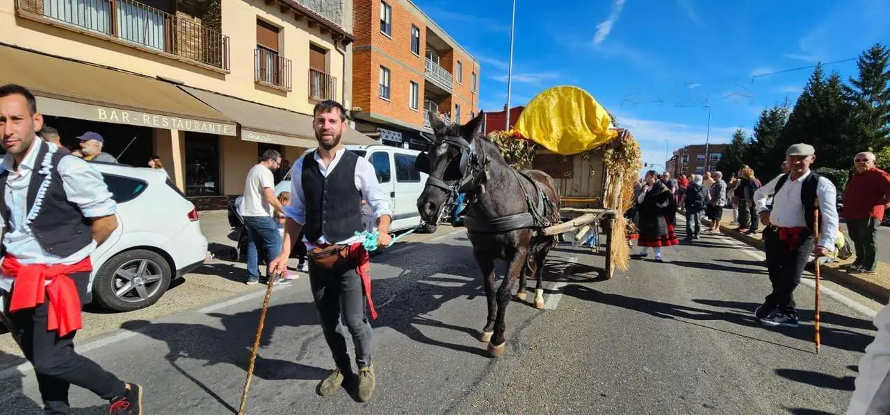 Pendones, carros y romeros participaron un a&ntilde;o m&aacute;s en la romer&iacute;a de San Froil&aacute;n | Le&oacute;n 24 Horas