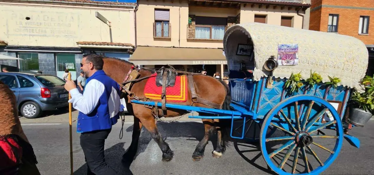 Pendones, carros y romeros participaron un a&ntilde;o m&aacute;s en la romer&iacute;a de San Froil&aacute;n | Le&oacute;n 24 Horas