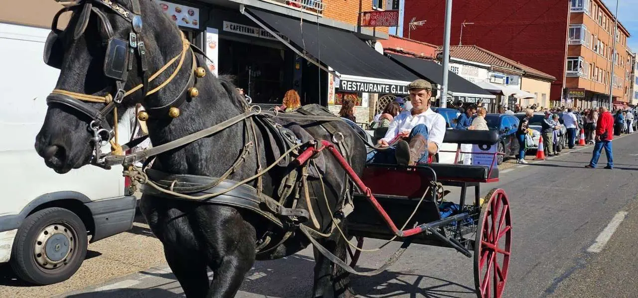 Pendones, carros y romeros participaron un a&ntilde;o m&aacute;s en la romer&iacute;a de San Froil&aacute;n | Le&oacute;n 24 Horas