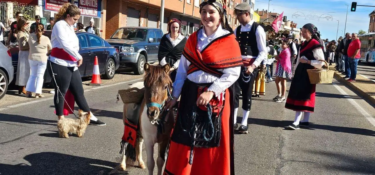 Pendones, carros y romeros participaron un a&ntilde;o m&aacute;s en la romer&iacute;a de San Froil&aacute;n | Le&oacute;n 24 Horas