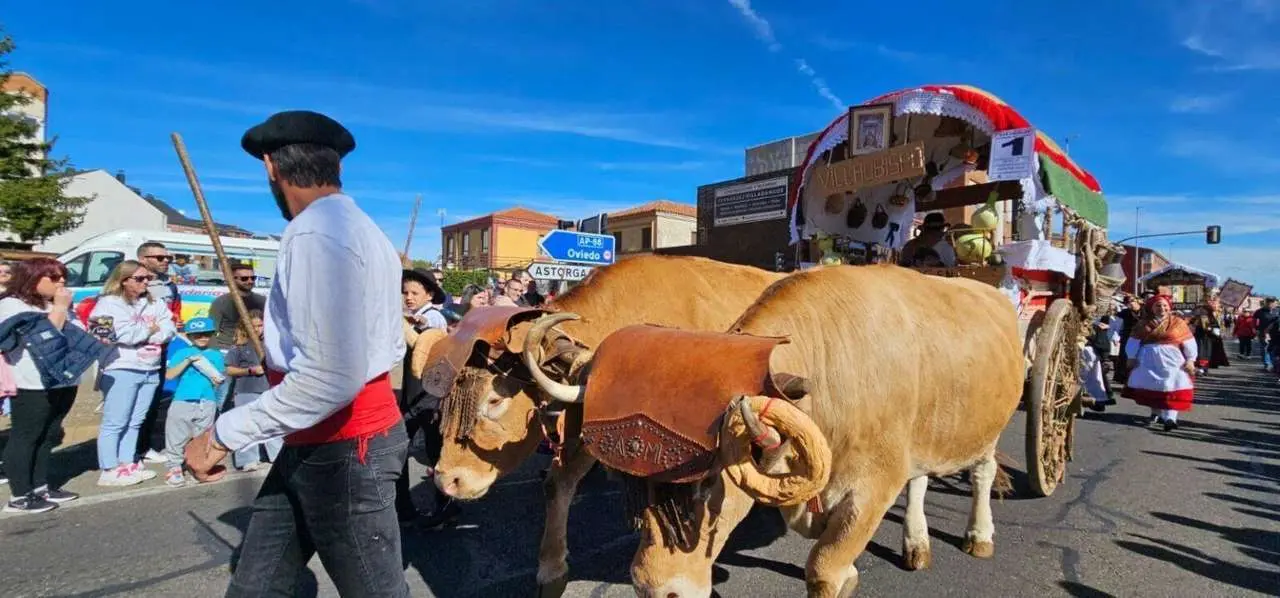 Carros, pendones y emoci&oacute;n en la gran Romer&iacute;a de San Froil&aacute;n 2025