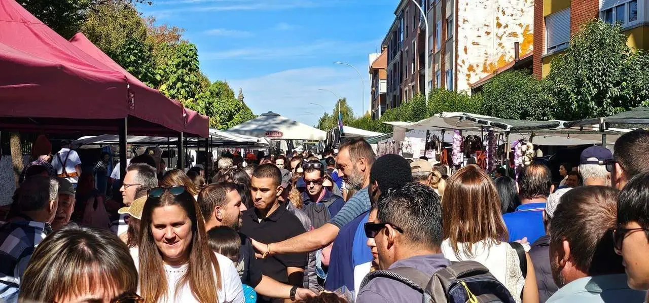 Carros, pendones y emoci&oacute;n en la gran Romer&iacute;a de San Froil&aacute;n 2025