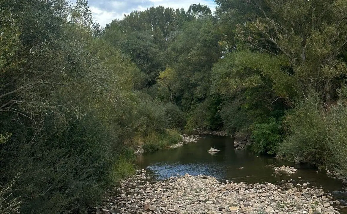 Imagen de archivo del r&iacute;o Tor&iacute;o. | SM