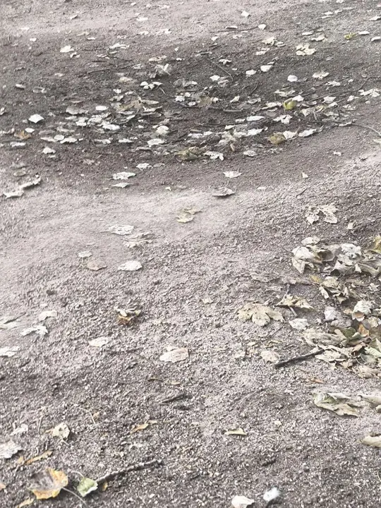 Estado del paseo del Bernesga en el margen derecho, con zonas valladas y deterioro visible.